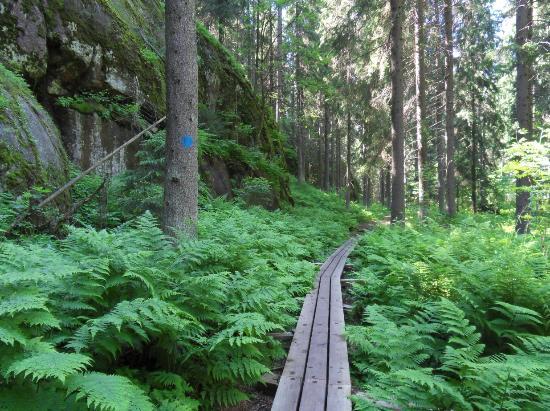Niivermaki Nature Conservation Area