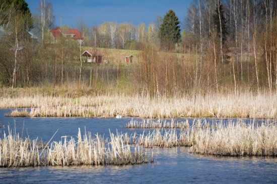 Siikalahti Wetland
