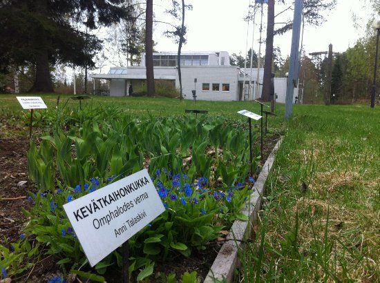 Saarijarven museo