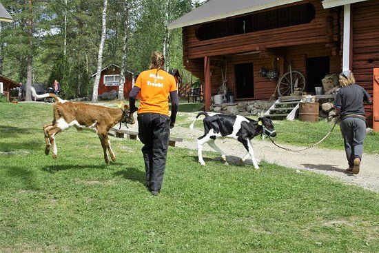 Koivuniemen Herran MuuMaa