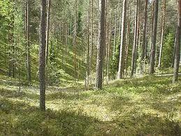 Leivonmäen kansallispuisto