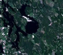 Karikkoselkä