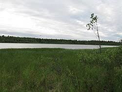 Lylyjärvi