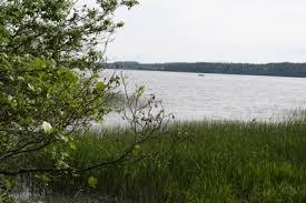 Mommilanjärvi