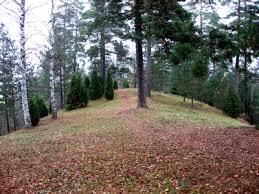 Tenholan linnavuori