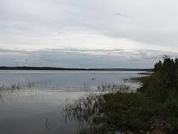 Auhojärvi