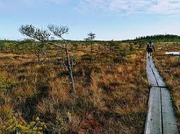 Valkmusan kansallispuisto