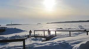 Vimpasaari