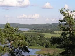 Tiirismaa