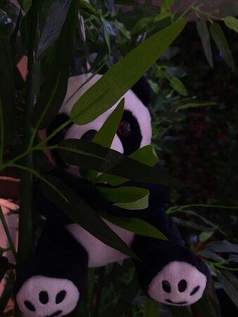 Sushi Panda
