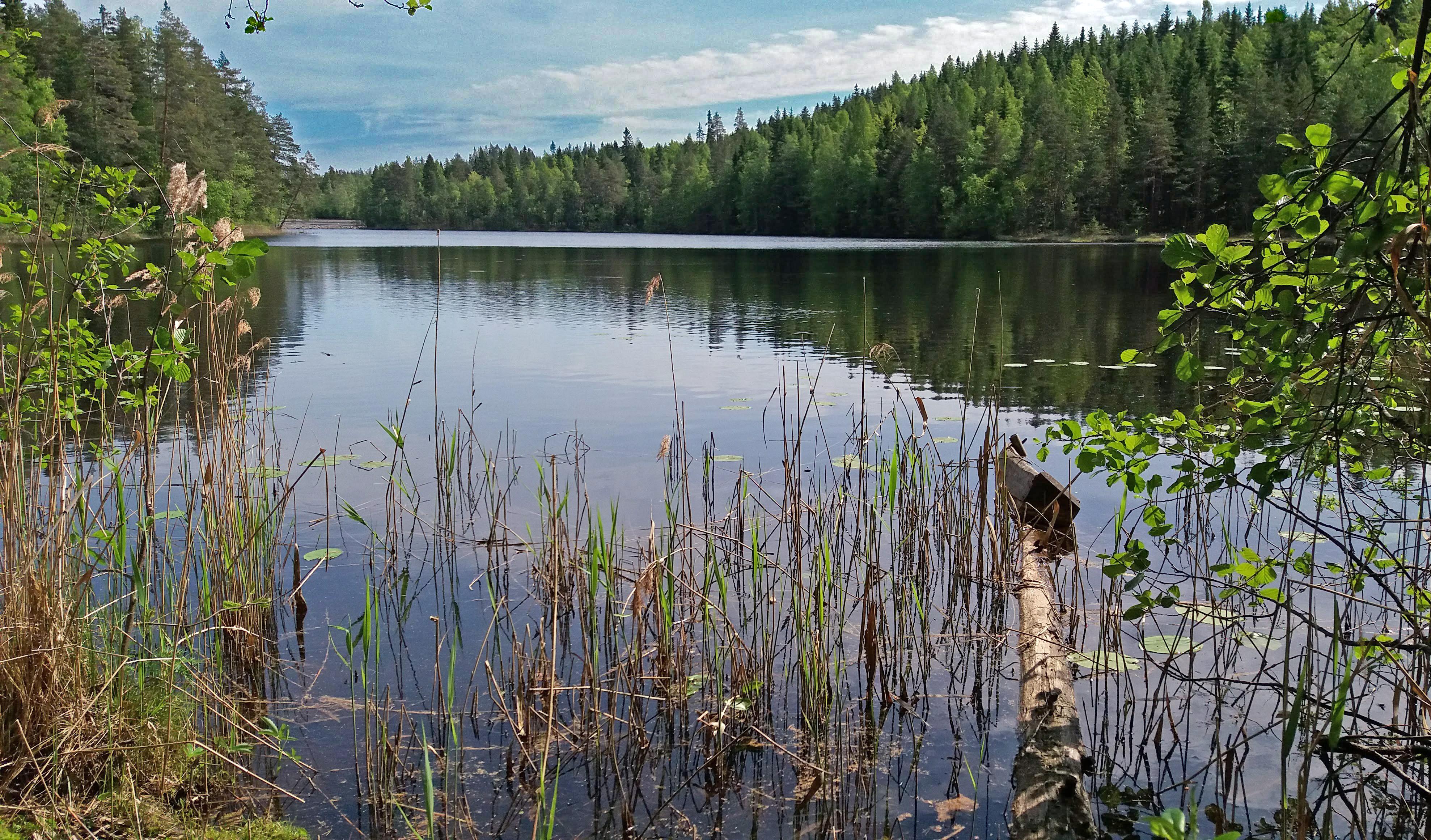 Vääräjärvi