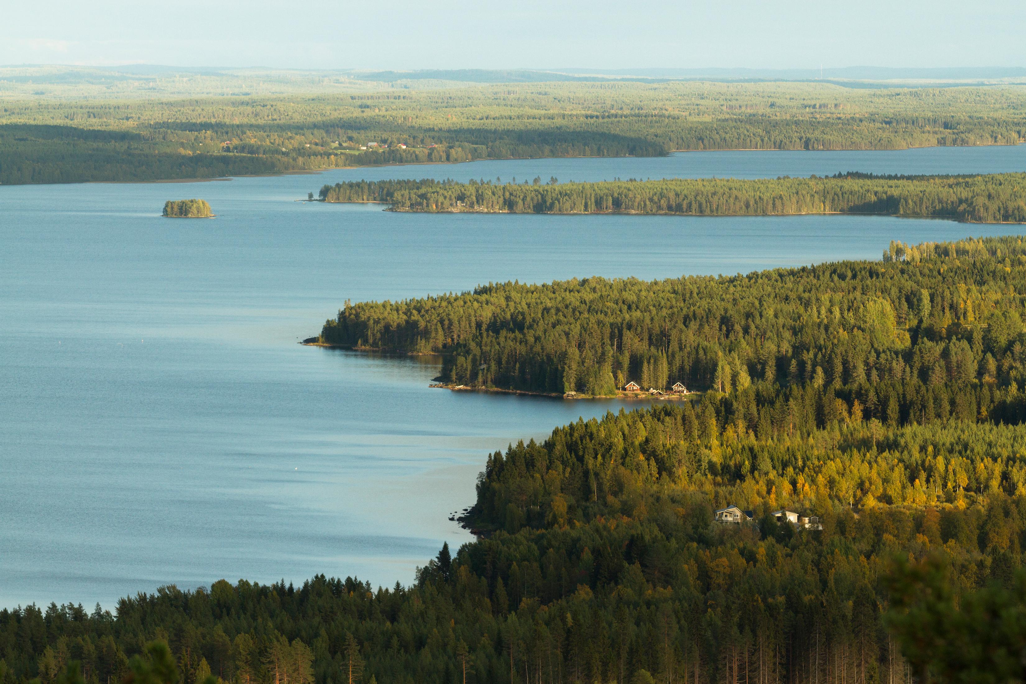 Iso Sapsojärvi