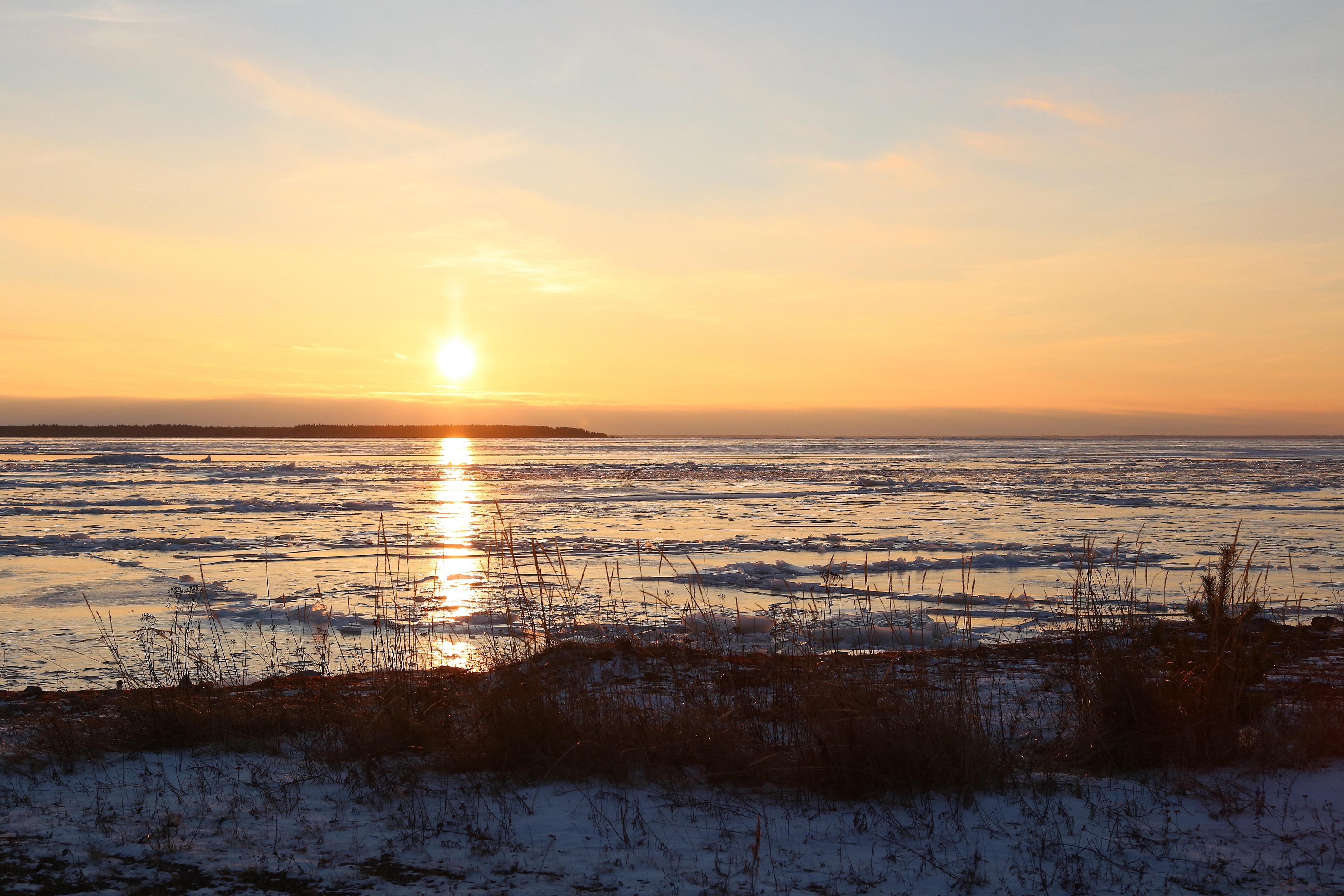 Liminganlahti