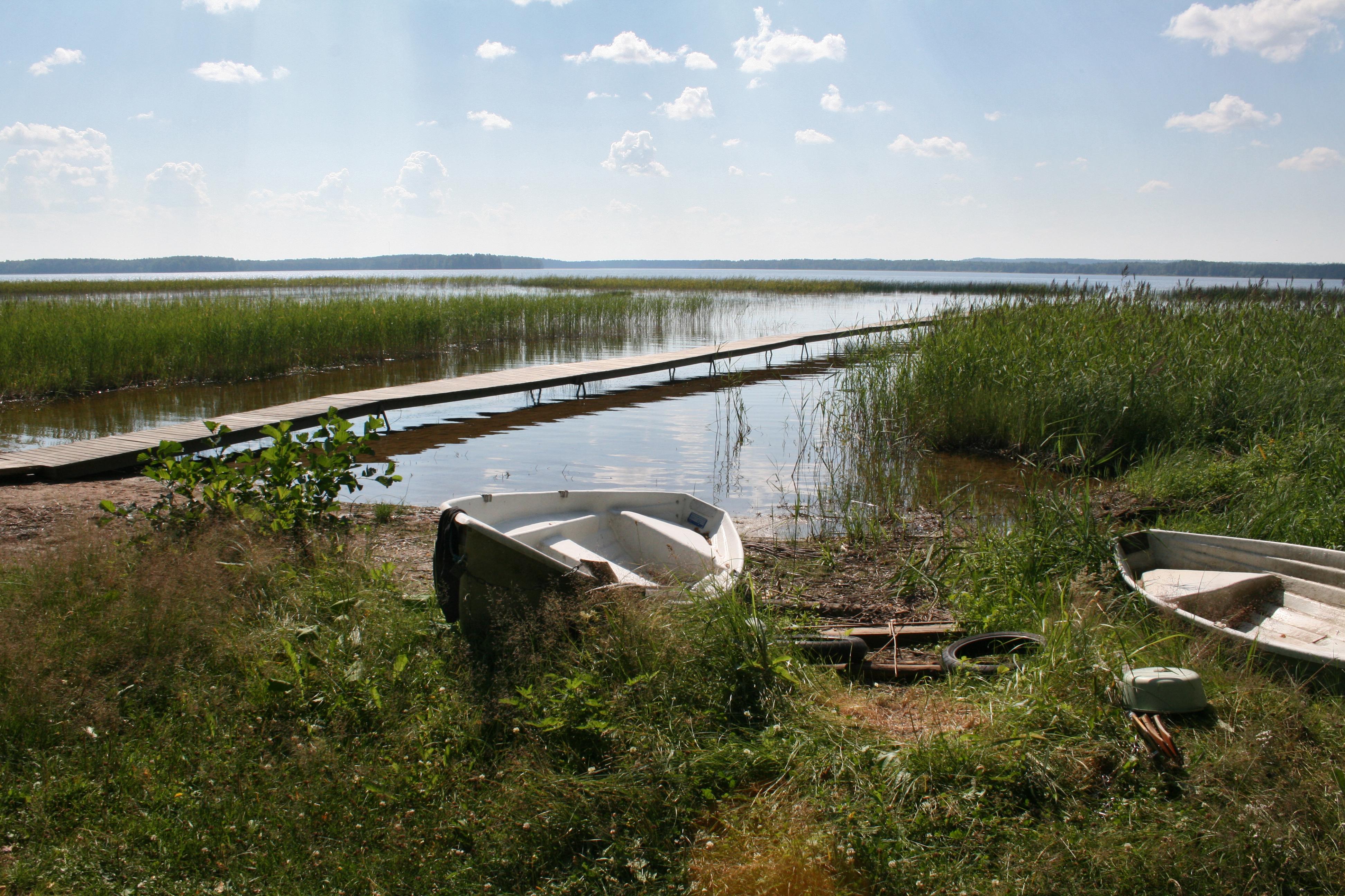 Kaartjärvi