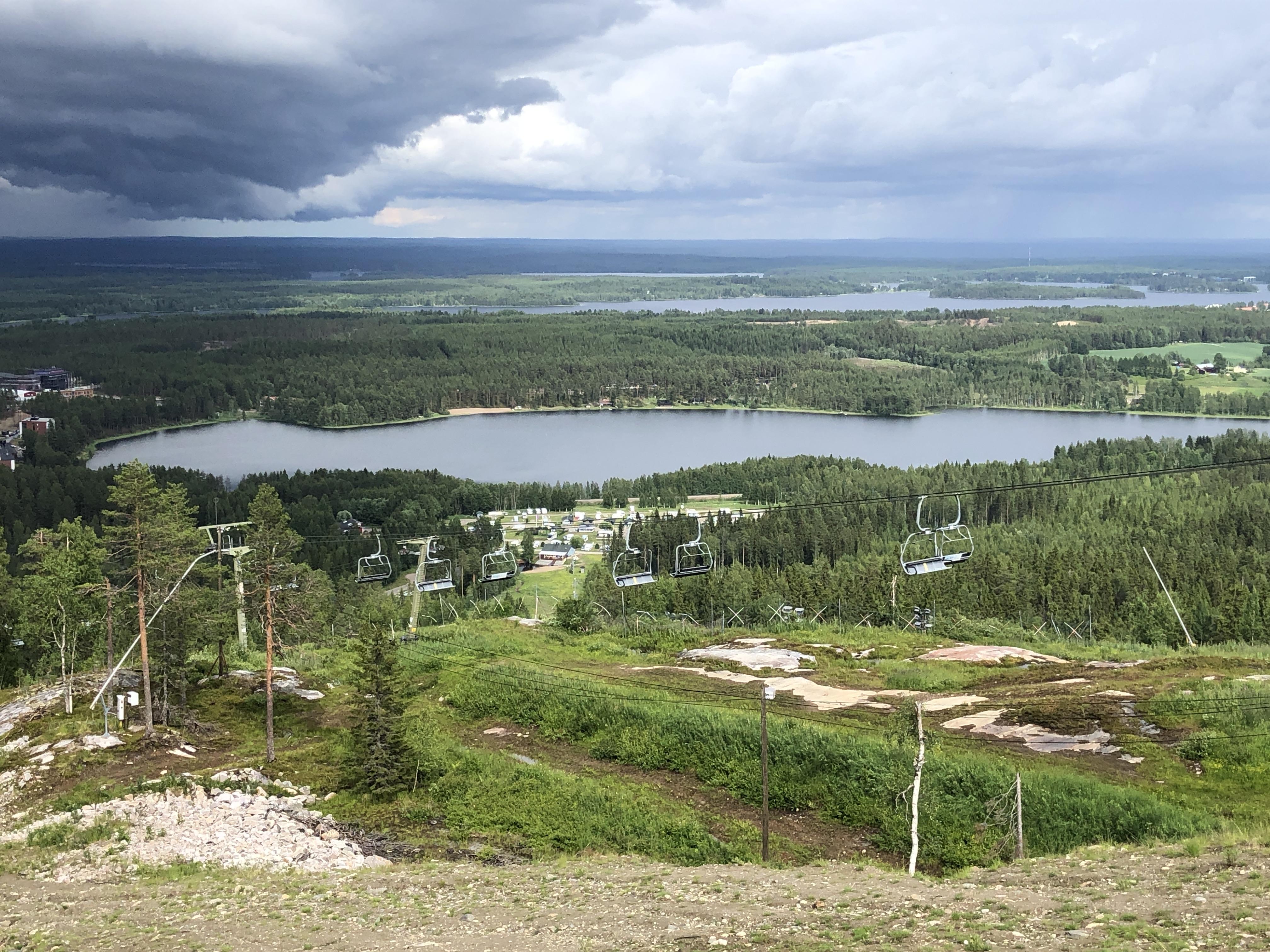 Särkinen