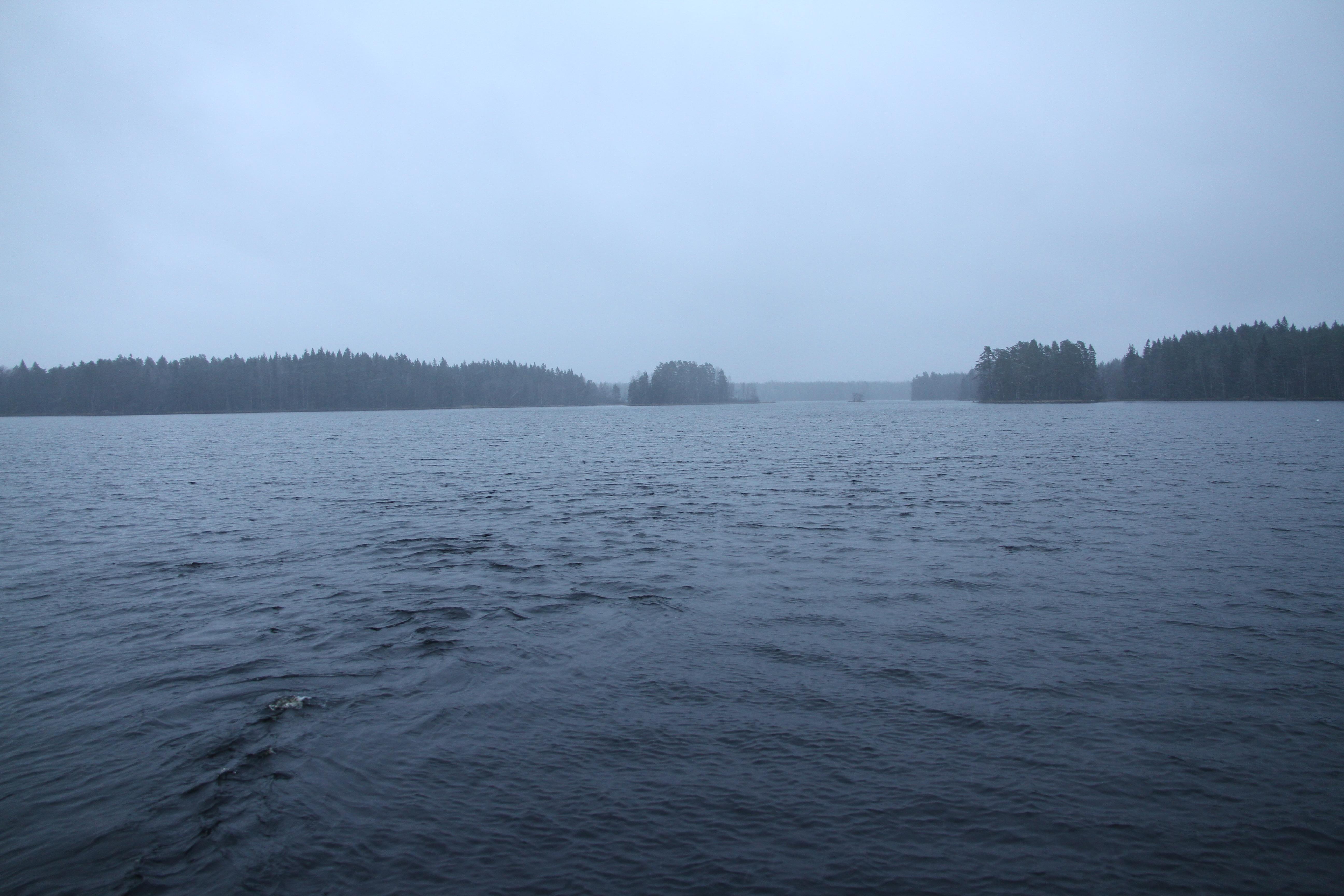Liesjärvi