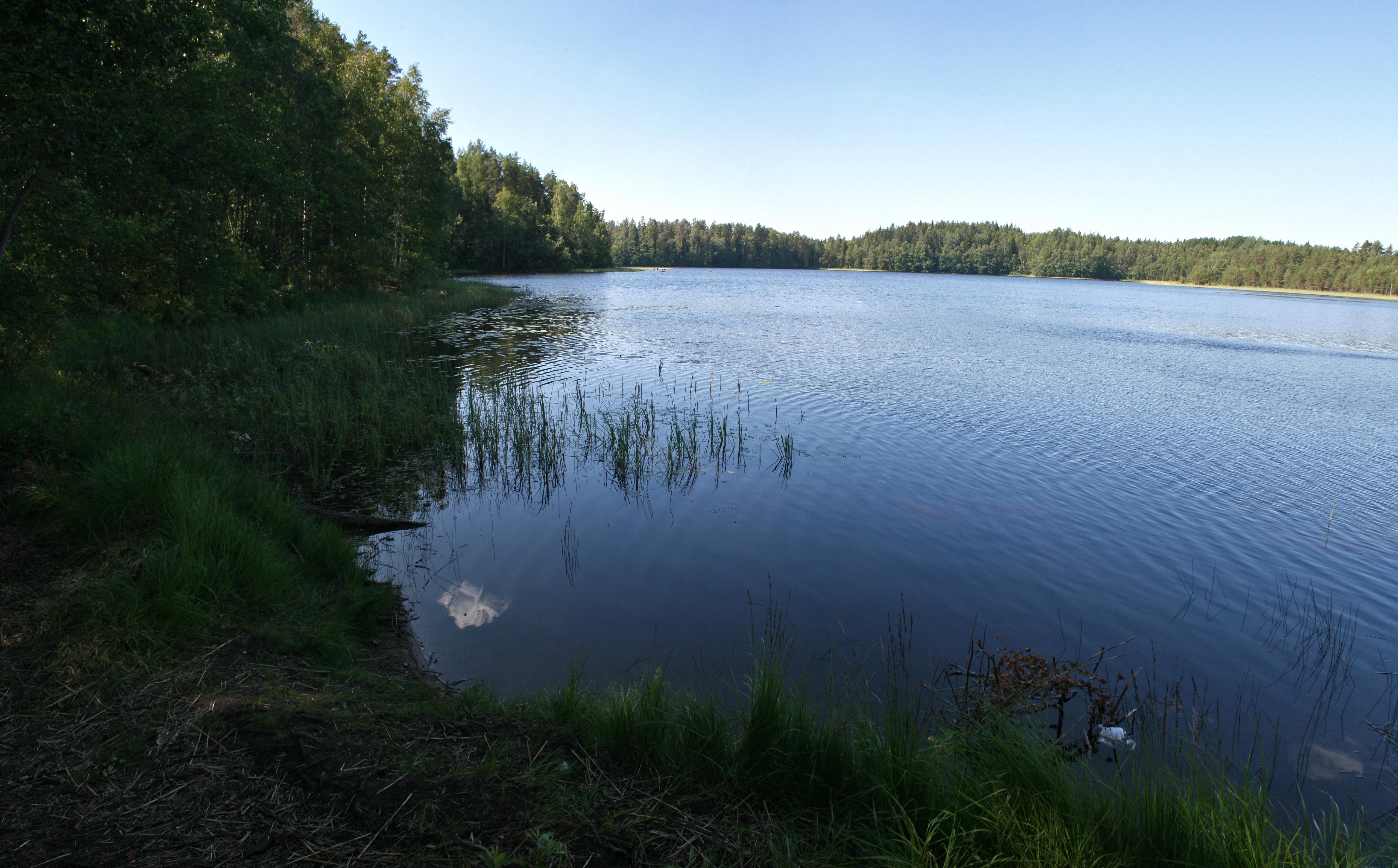 Pääjärvi