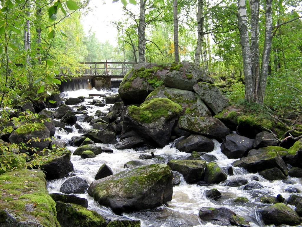 Kannonjärvi
