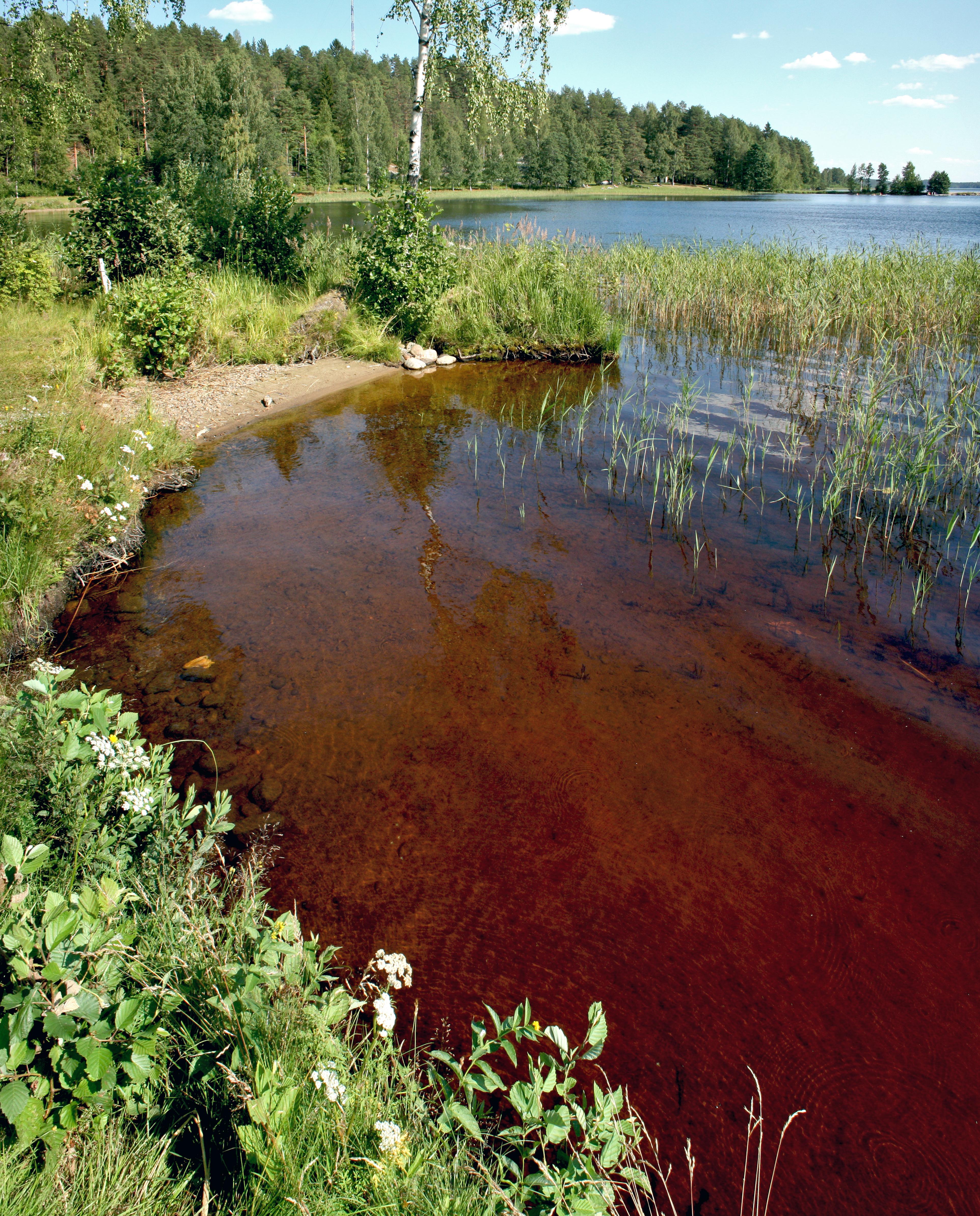Jukajärvi