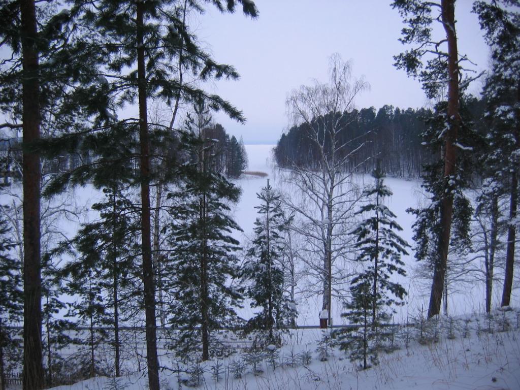 Simpelejärvi
