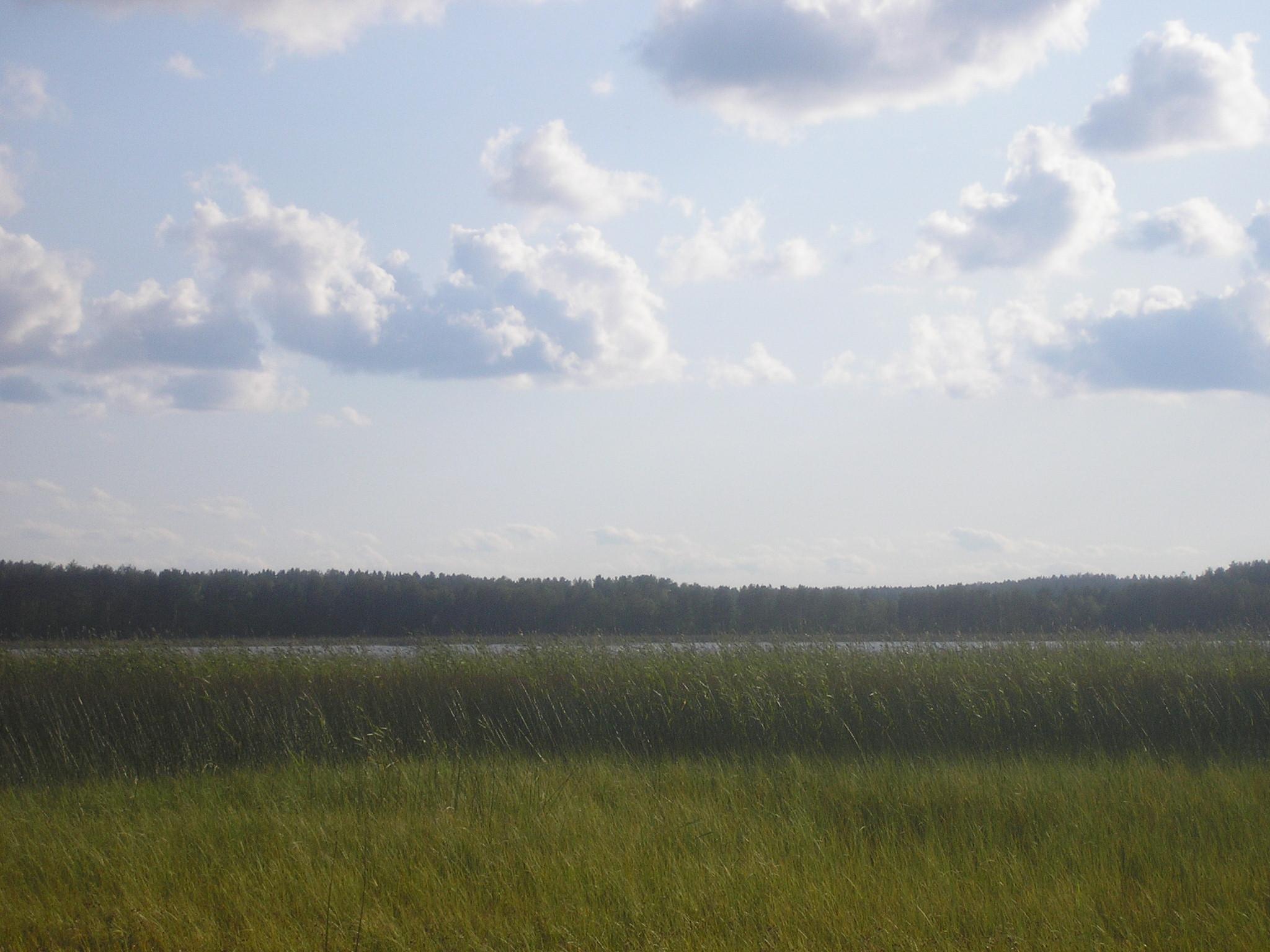Evijärvi