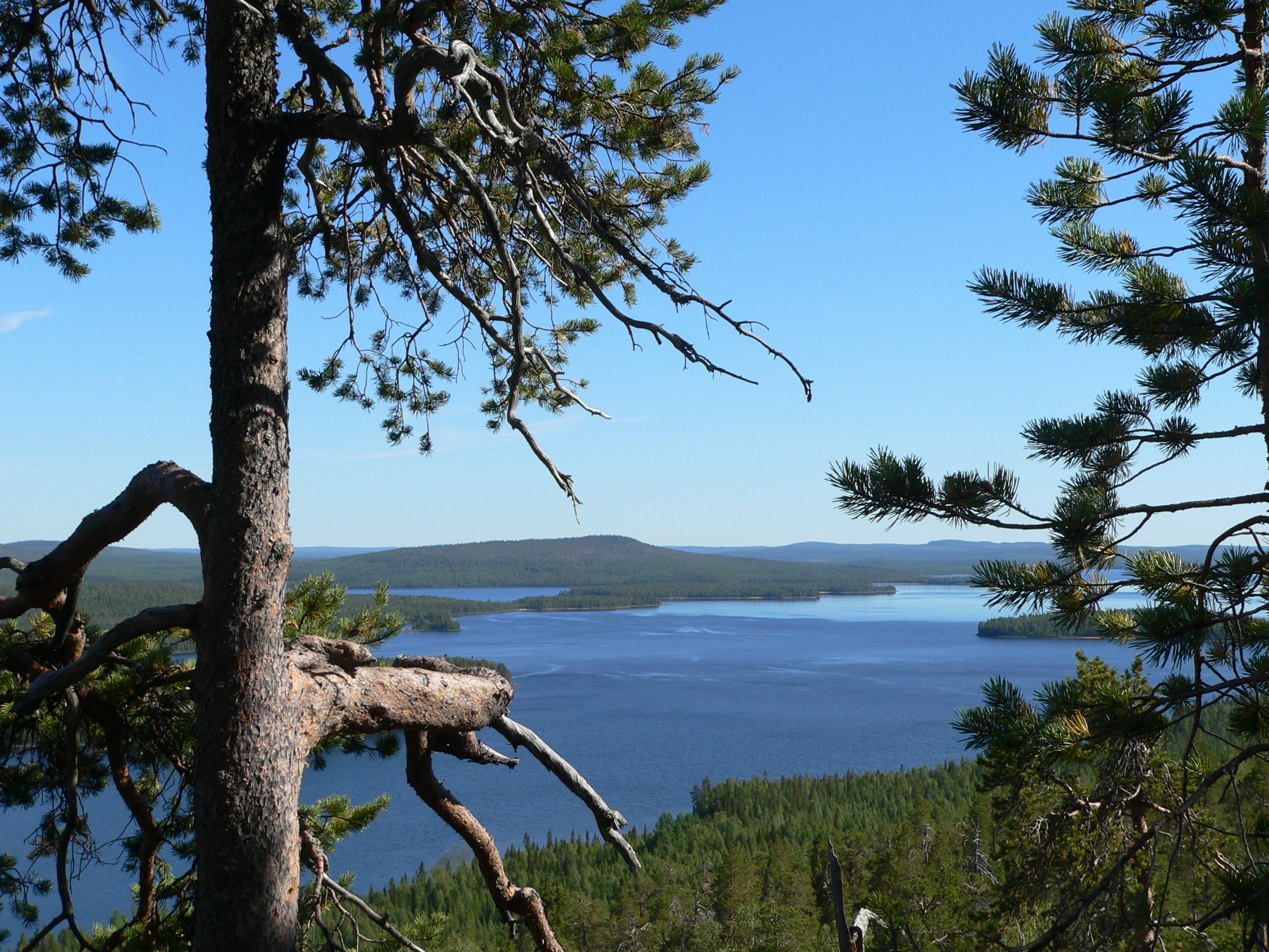 Miekojärvi