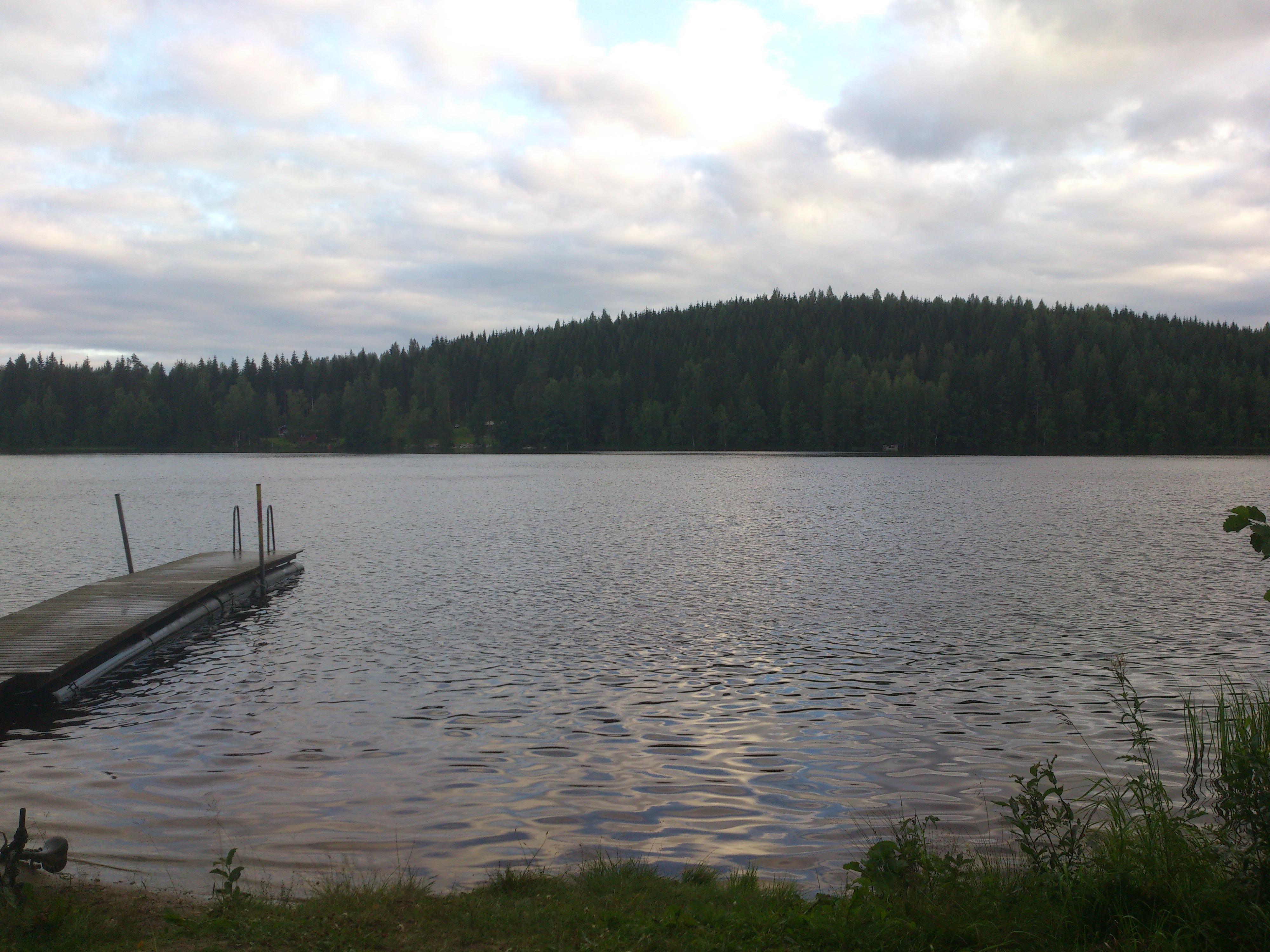 Heinänen