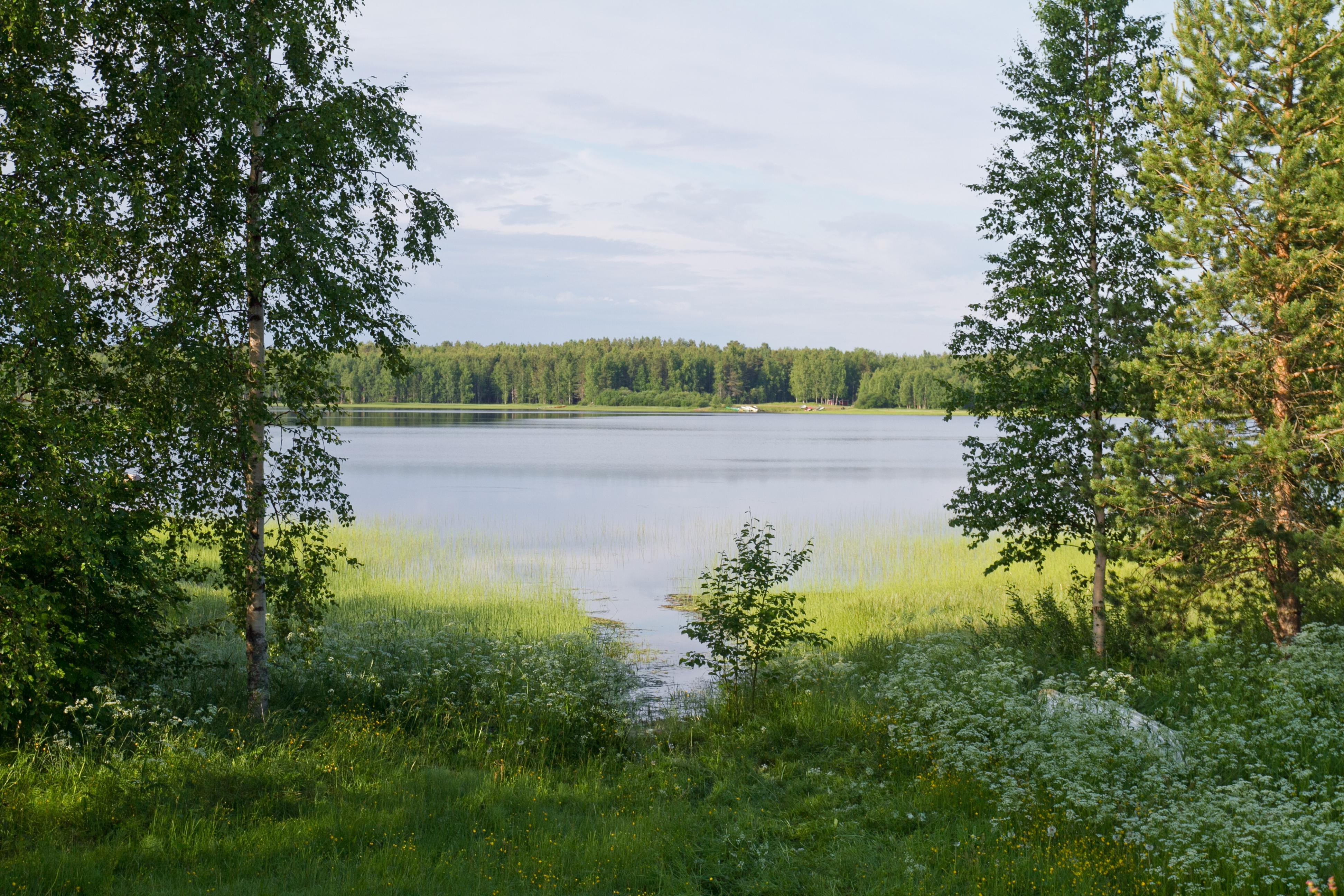 Käkisaari