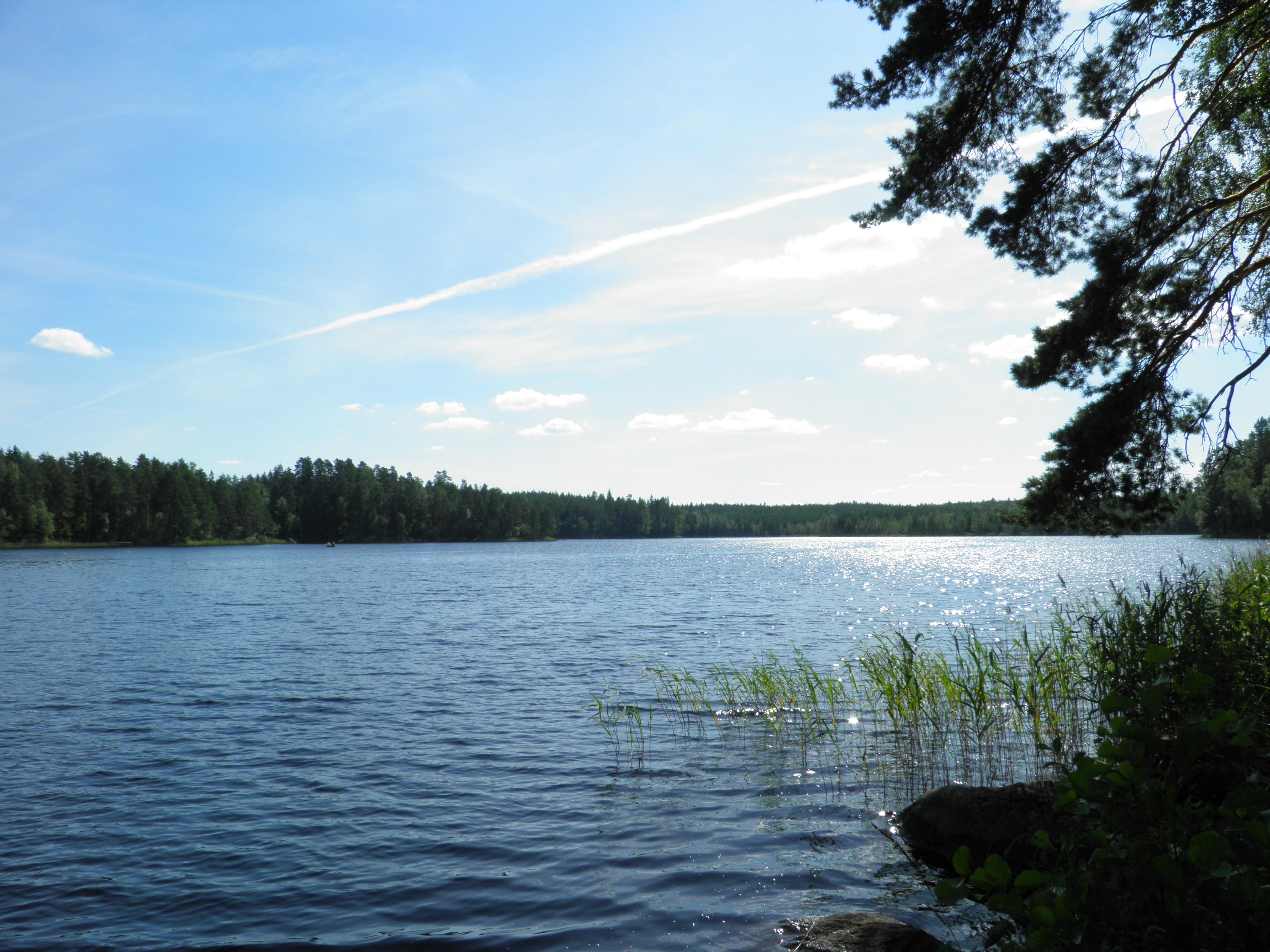 Alinen Niemisjärvi
