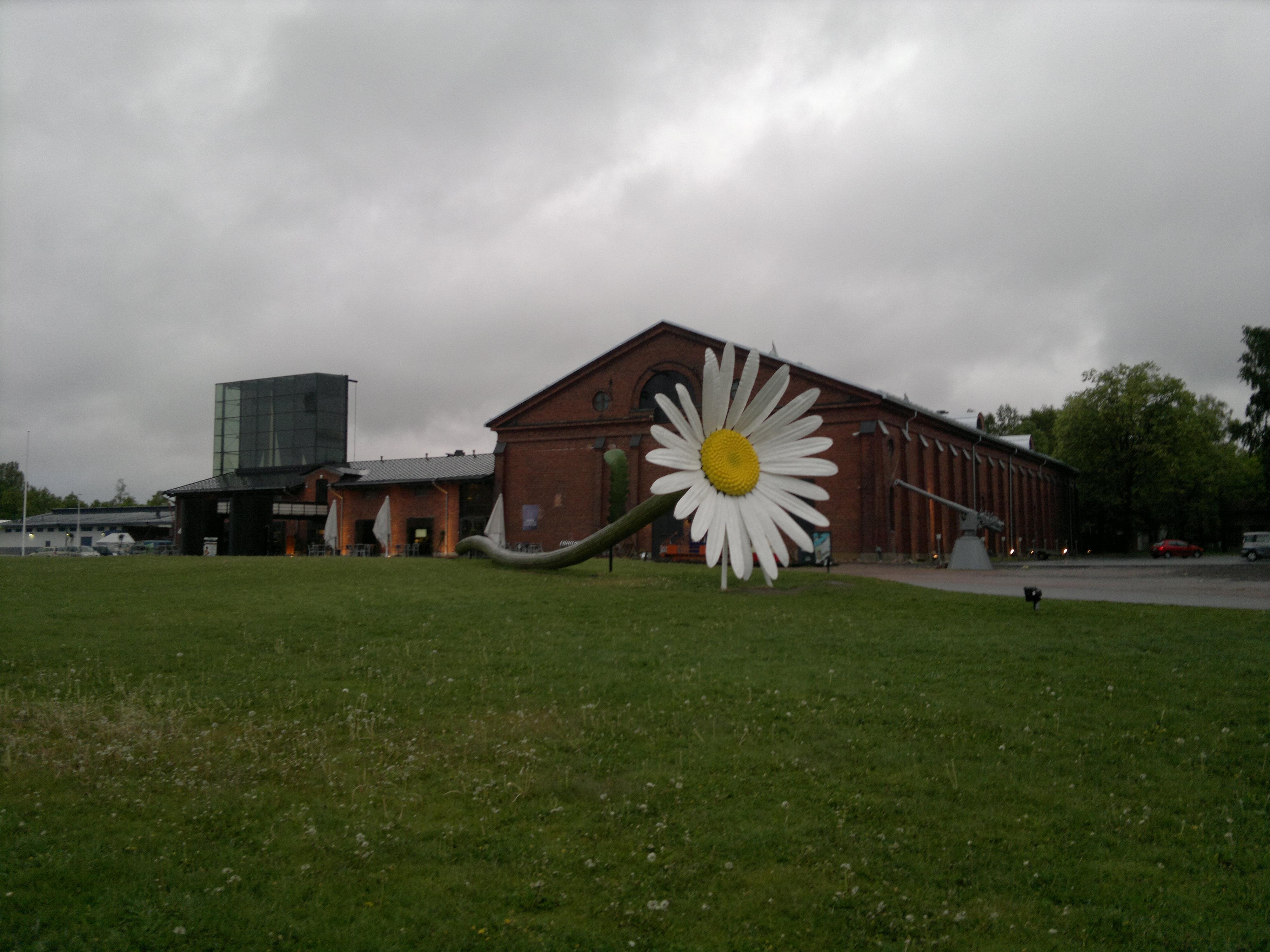Päivänkakkara