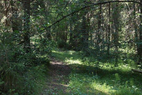 Paijanne-Ilves Trail