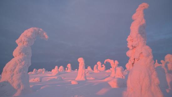 NorthTrek