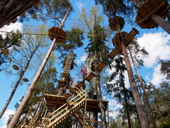 Treetop Adventure Huippu
