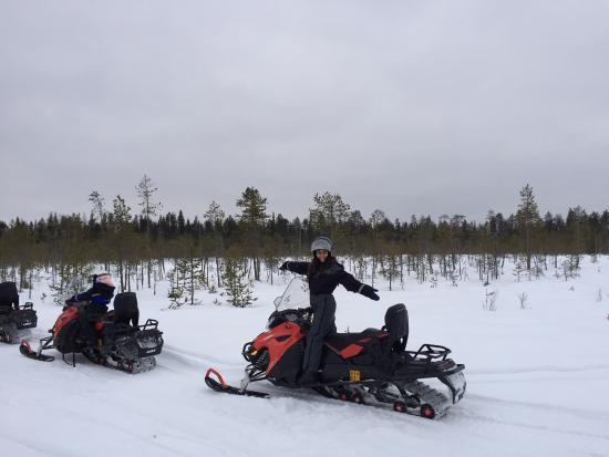 Wild Nordic