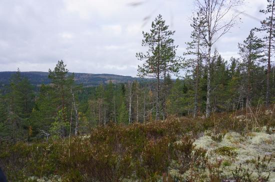 Paimenen Polku Trail