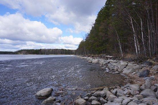 Malonsaari Island