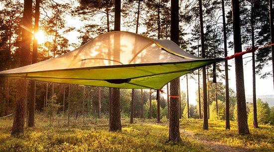 Finland Naturally Experiences