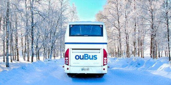 Oubus