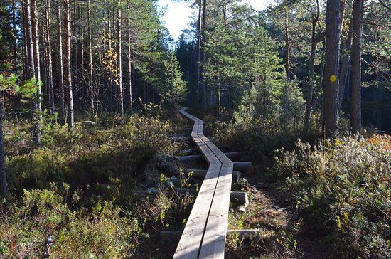 Etelä-Konneveden Kansallispuisto