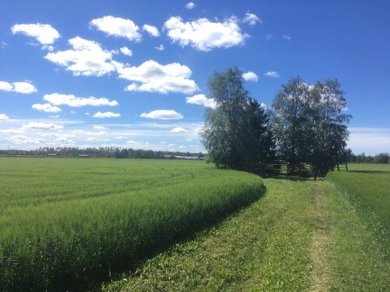 Levänluhdan muinaisjäännökset