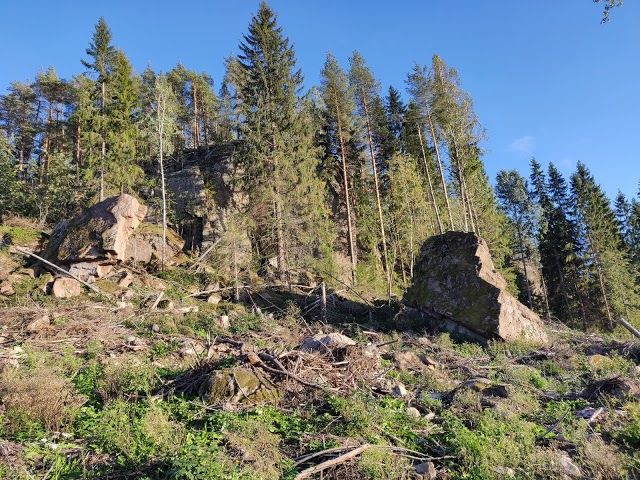 Lamminpolku