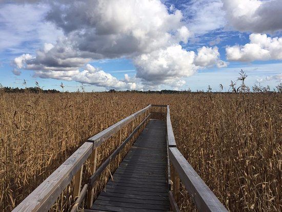 Laajalahti Nature Reserve