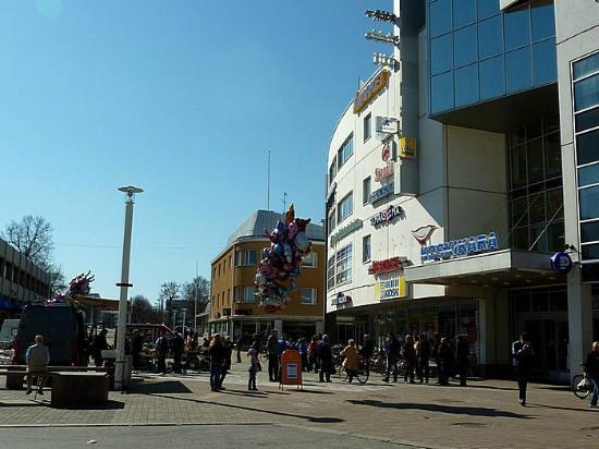 Koskikara