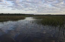 Härkmerifjärden