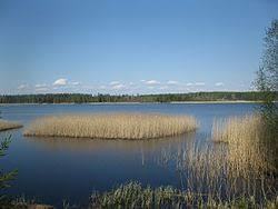 Pyhäjärvi