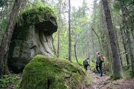 Kammiovuori