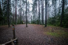 Peukalolammi