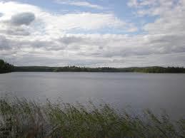 Tohloppi