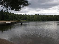 Tesomajärvi