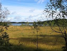Vaskijärven luonnonpuisto